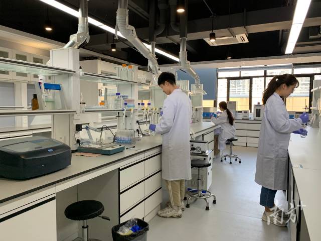 压球app入口站官网“攀峰班”学生在开展实验探究。